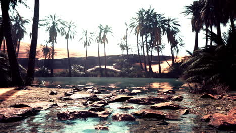 Desert-oasis-pond-with-palm-trees-and-plants