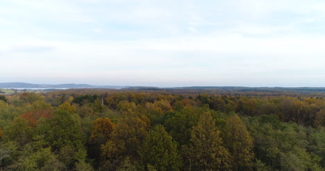 Volando-Sobre-Bosque-Bosque-Desde-Arriba-8