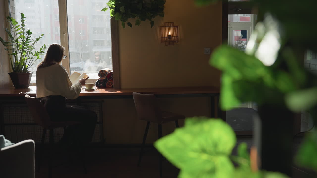 Back view of woman reading book beside bright window while sipping coffee in cozy interior, sunlight pouring in as car passes by outside, green plants and wall lights