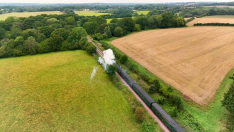 un impresionante tren de vapor de una época pasada corre a través de los vibrantes campos verdes del sur de inglaterra, su columna de humo se arrastra mientras evoca nostalgia y aventura atemporal.