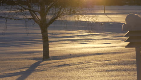 Person-walks-with-pram-during-beautiful-winter-day-in-Nordic-countryside