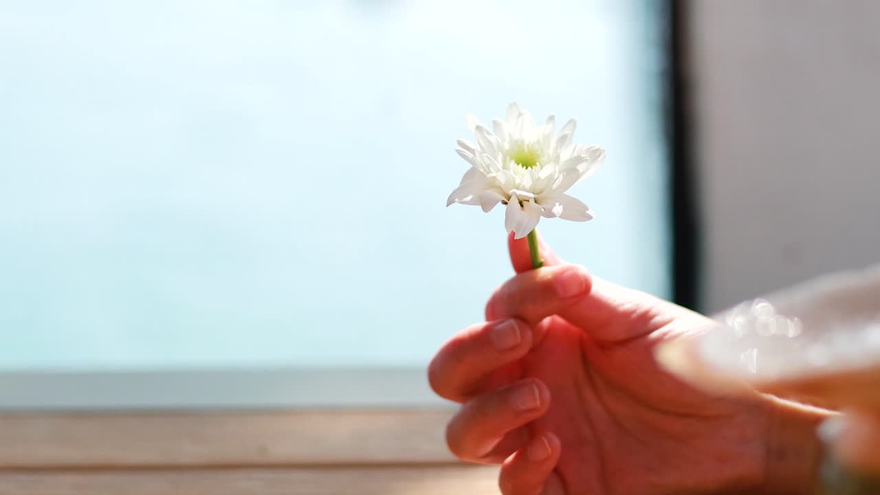 한 손 이 부드럽게 크리산테무스 꽃 을 들고 있다