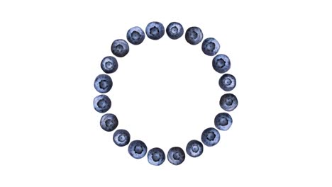 stop motion round frame of blueberries on white background