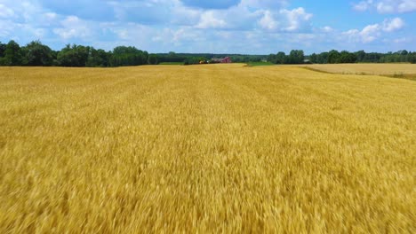 Aerial-Cinematic-clip:-Drone-flying-over-a-wheat-field-during-sunset