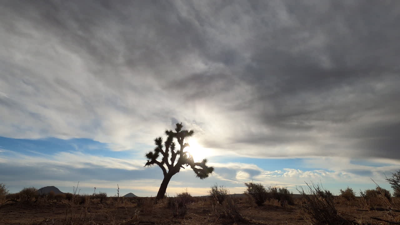Il sole sorge sul paesaggio del deserto del Mojave con un albero di Giosuè in primo piano e un time-lapse di nuvole in rapido movimento