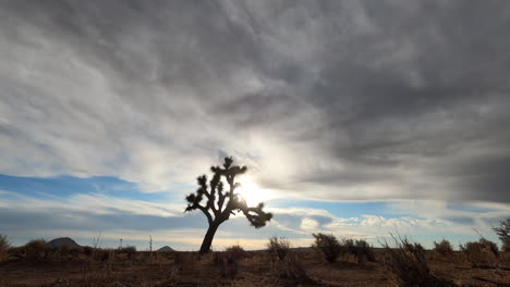 the sun rises over the mojave desert landscape with a joshua tree in the foreground and a fast-moving cloudscape time lapse