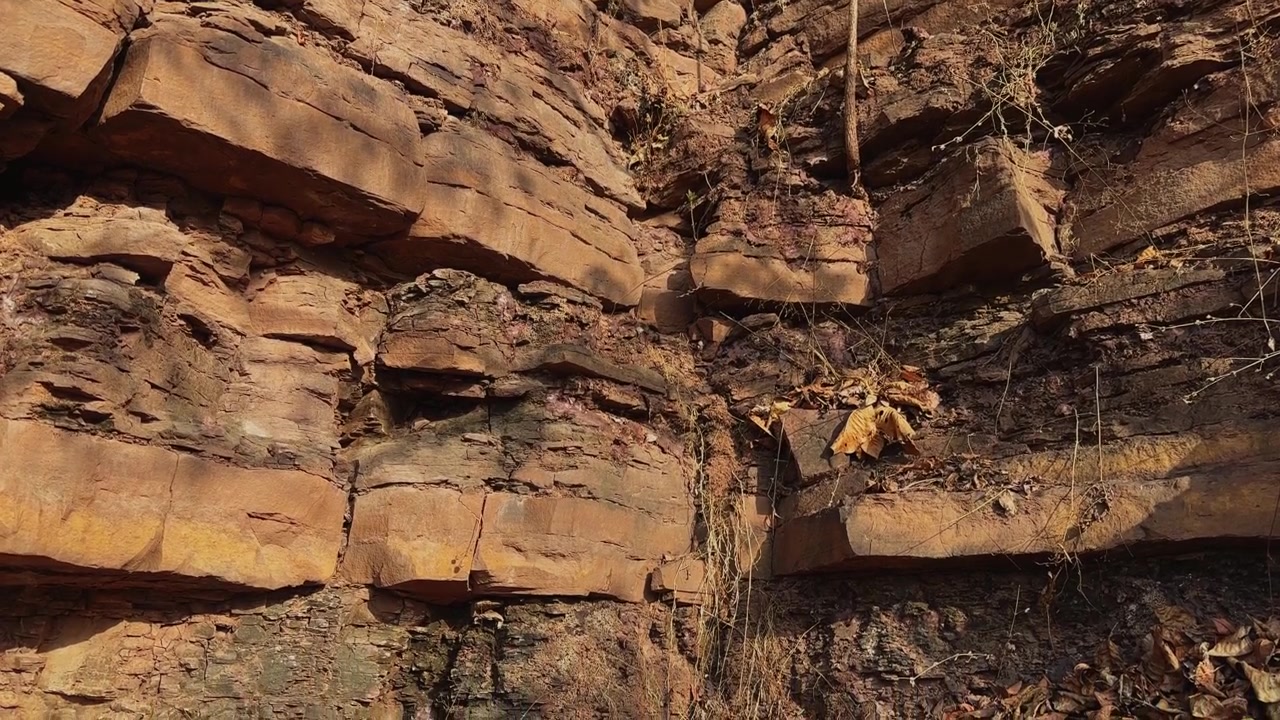 Lento movimento di ripresa in discesa che rivela l'angolo intersecante di una scarpata erosa, caratterizzata da depositi stratificati, crepe verticali, radici pendenti e forme del terreno naturali e aspre.