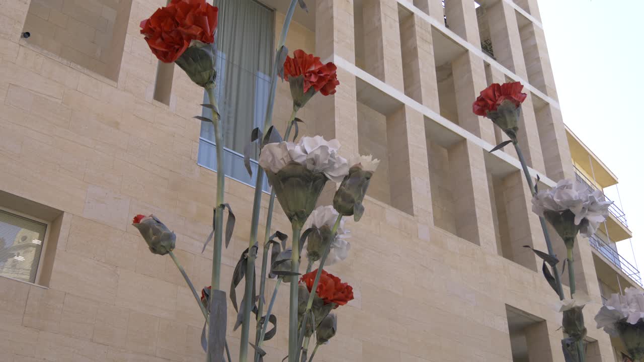 Red flowers in murcia spain