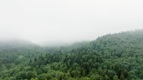 Aéreo---Bosque-Brumoso-Y-Brumoso-En-Las-Montañas-Del-Cáucaso,-Georgia,-Círculo-Pan