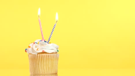 birthday cupcake with candles