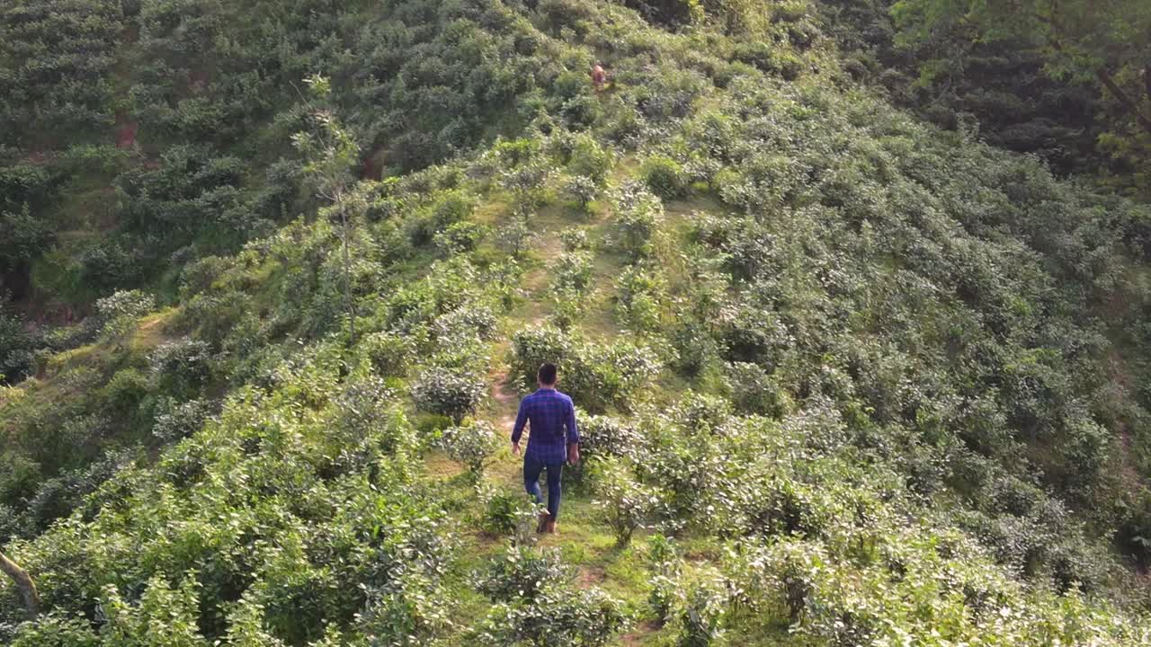 imágenes aéreas de un viajero caminando por las montañas asiáticas con una luz suave impresionante