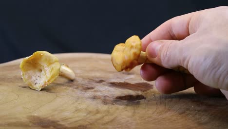 man grabbing hedgehog mushroom