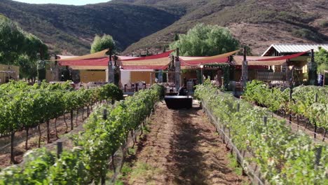 aerial view of a wedding venue near a vineyard