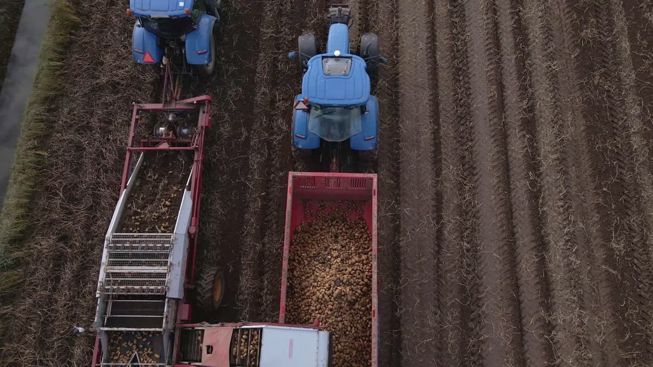Tractor with potato harvester on the field