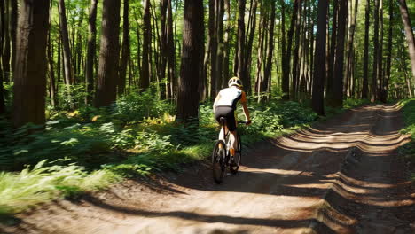 mountain biking in the forest