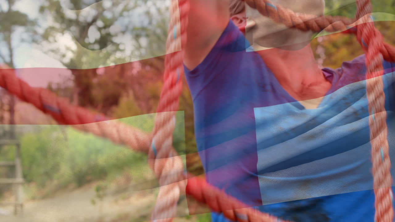 장애물 경주 훈련 중 백인 여성 위에 영국  ⁇ 발의 애니메이션