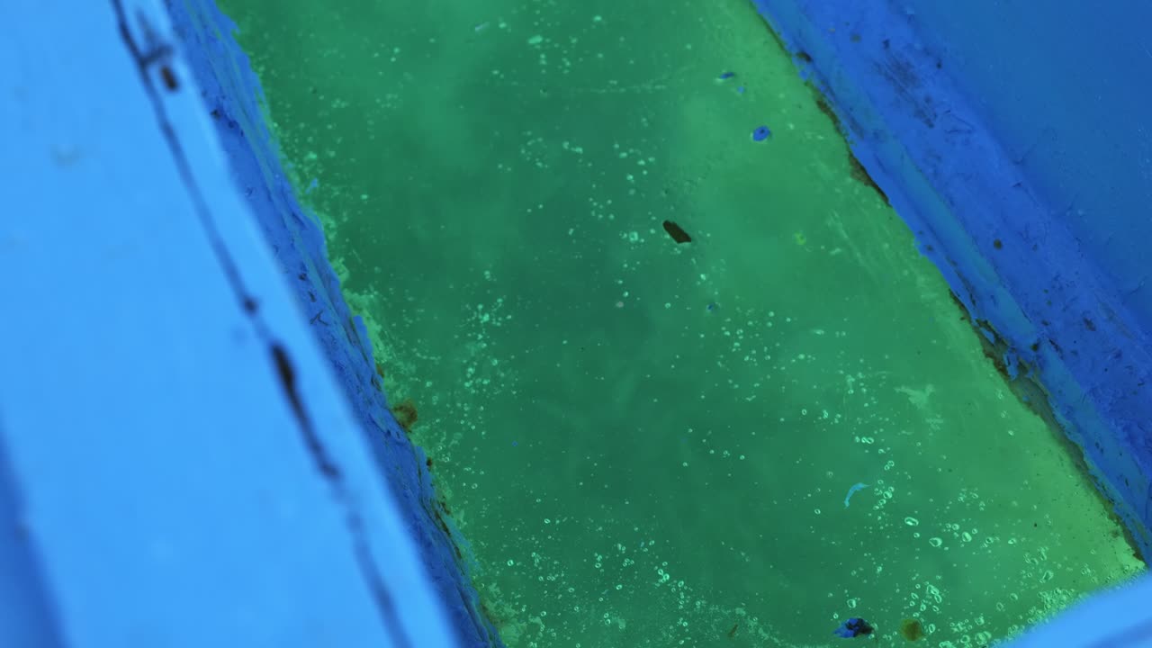 사람들이 수족관 생활을 볼 수 있도록 바닥이 유리로 된 보트의 클로즈업 샷