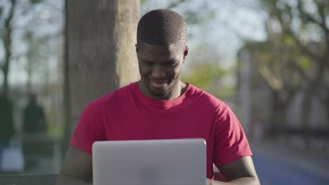 Young Afro-American man working on laptop in park, smiling