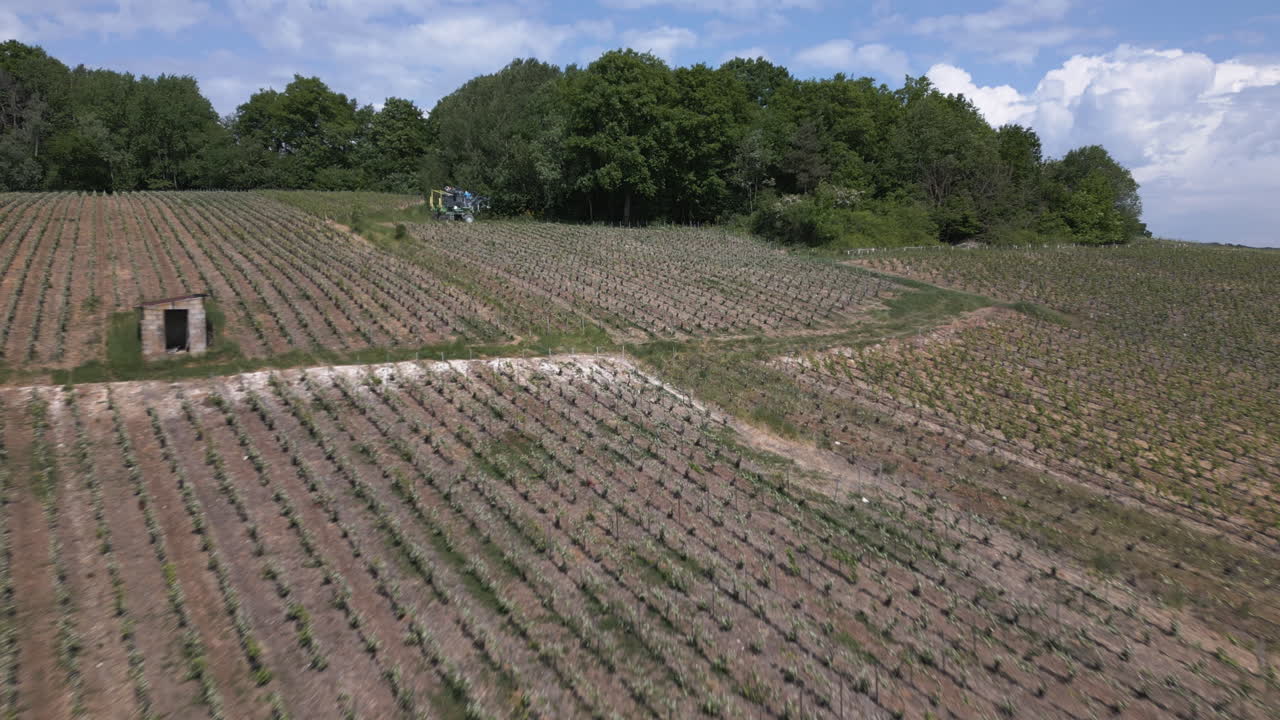 Farming machine in grape fields of France, aerial view