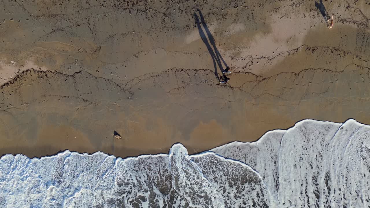 Ripresa cinematografica dall'alto con drone di una coppia e del loro cane felice che camminano lungo una spiaggia sabbiosa. Vista dall'alto di lunghe ombre artistiche e onde del mare che si infrangono sulla spiaggia. Perfetto per film lifestyle.