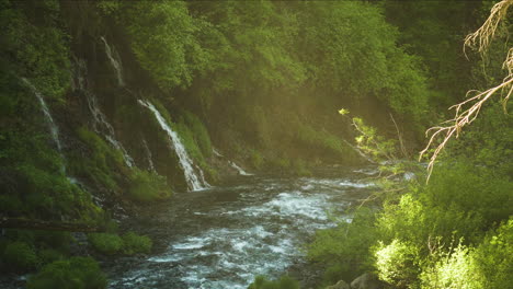 Beautiful-scenery-of-a-small-creek-with-light-shining-through-the-forest-canopy