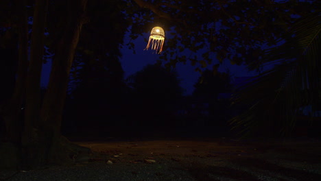 Bright-lantern-hanging-on-the-tree-at-night-in-windy-weather,-Thailand