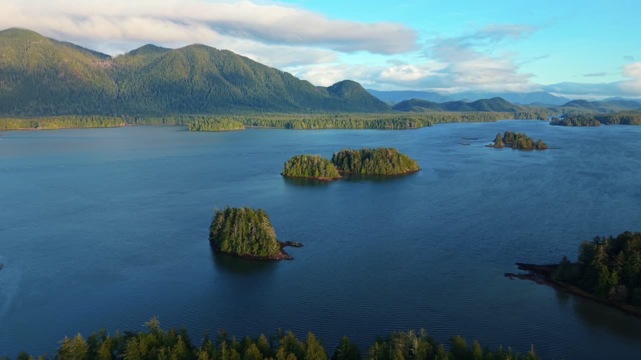 tomada de drone de tofino en la isla de vancouver que muestra colores de otoño, costa escarpada y olas del océano en una vista aérea panorámica.