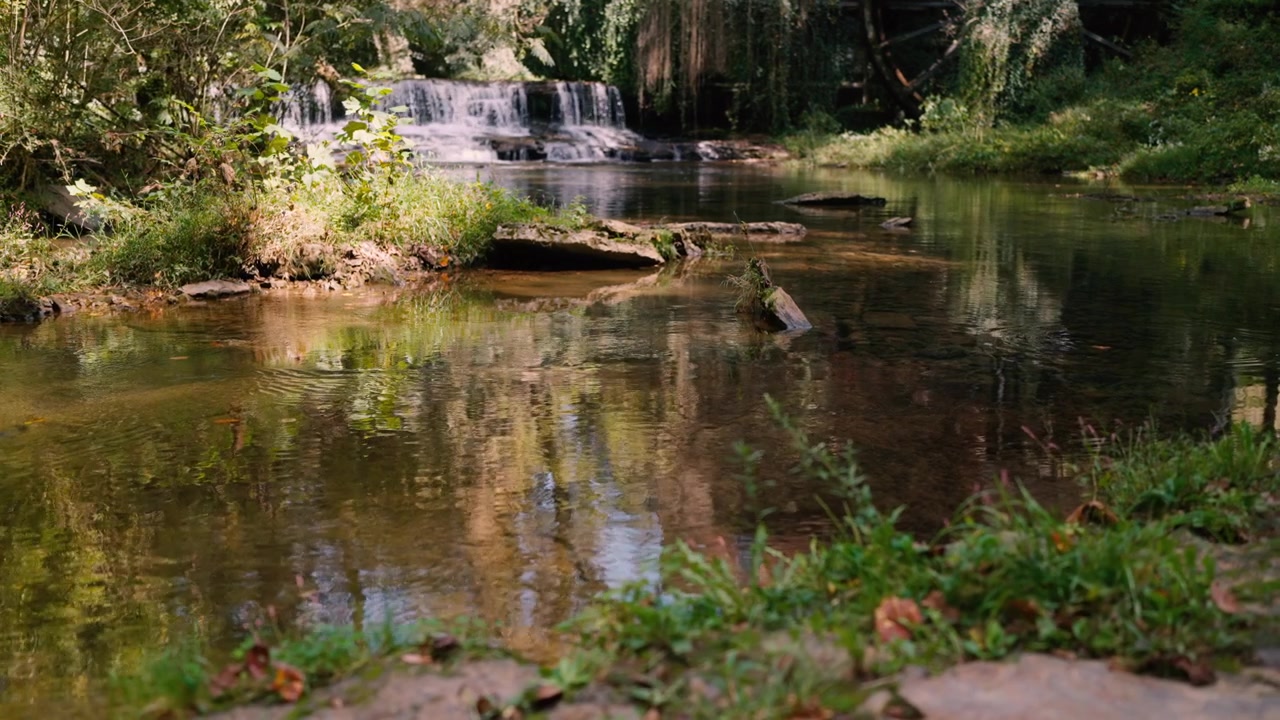 Ruscello tranquillo che scorre attraverso una foresta verde con cascata e vecchio mulino