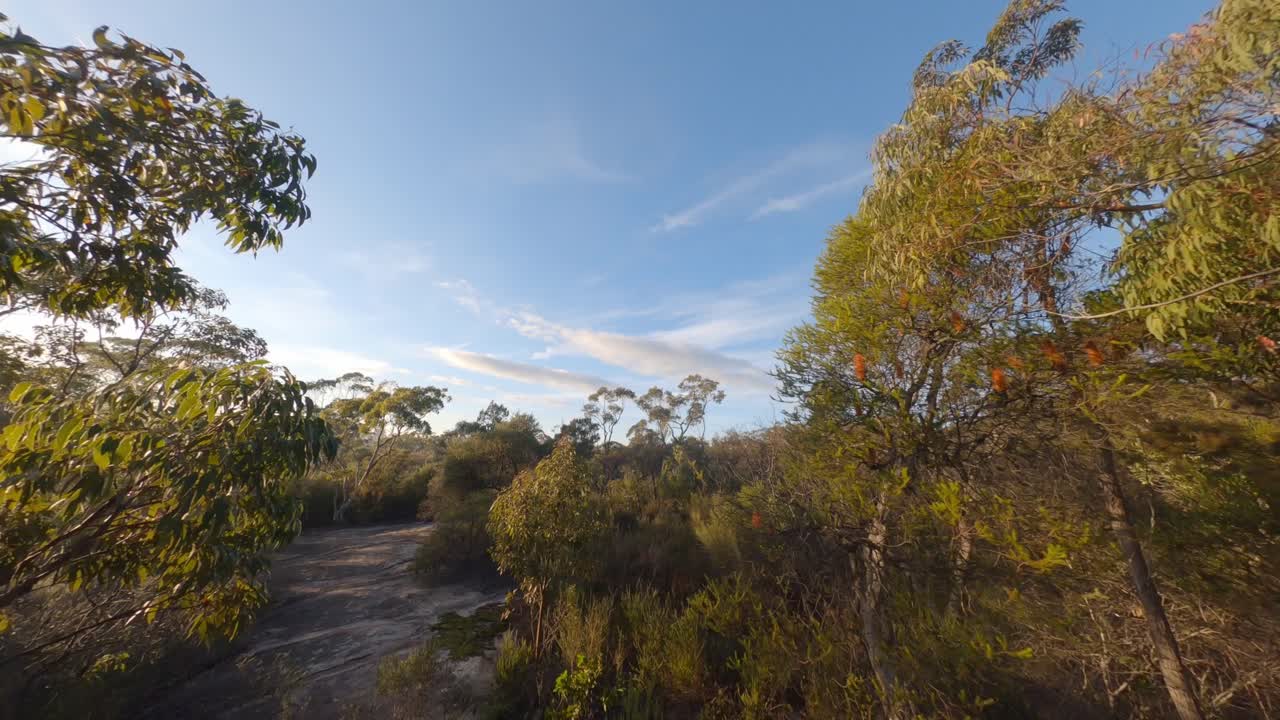 Early Morning Sunlight - Forest Hill Cine Flight