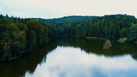 aerial view beautiful panorama of a lake surrounded by trees on a background hill covered with forest