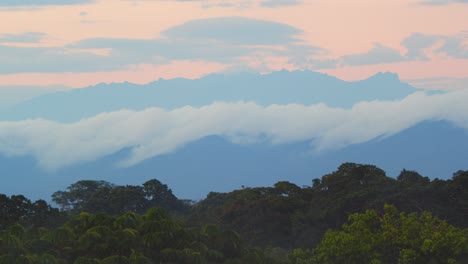 panning through peru’s tambopata reserve glowing in magical mist and brilliant color as evening settles over the forest.