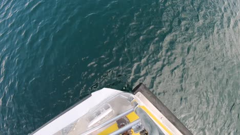 mirando por encima del borde de un barco
