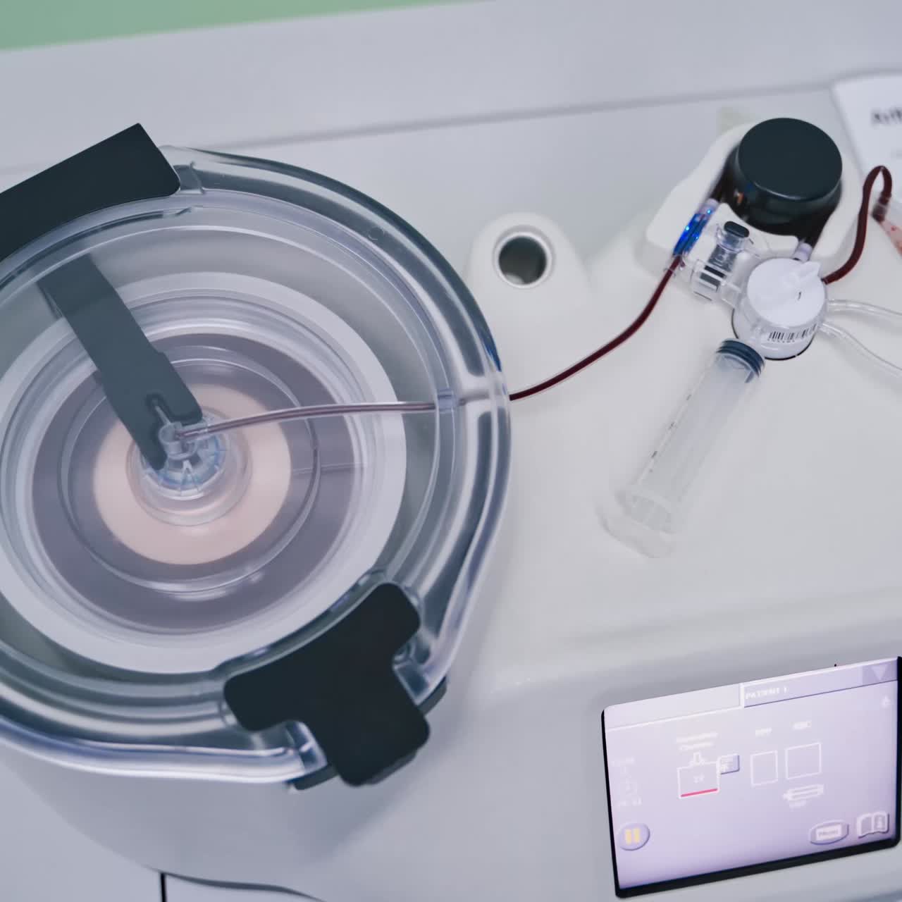 Research of stem cells