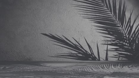 a-palm-leaves-shadow-on-black-background-wall-with-copy-space