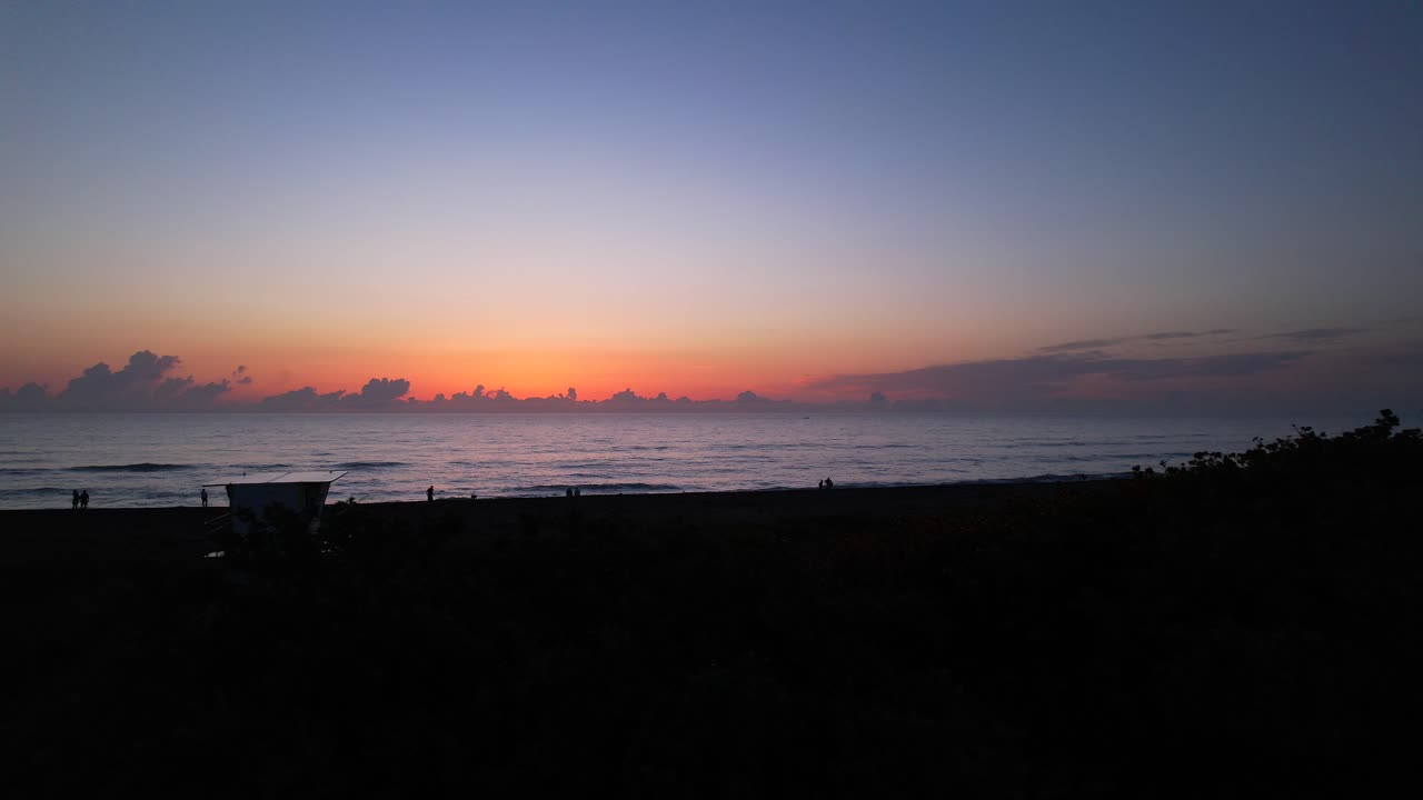 플로리다 해변의 해가 뜨는 공중 비행은 나무를 지나간다.