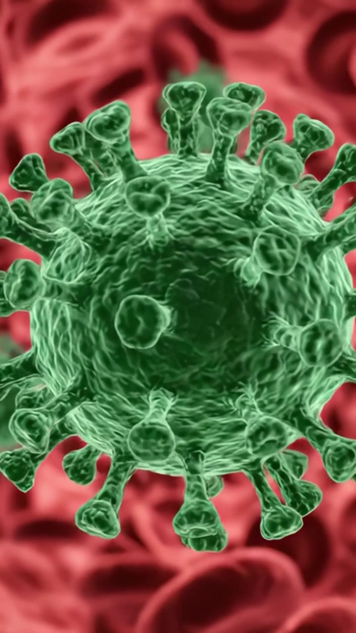 Visualizzazione dettagliata di un virus con globuli rossi, che evidenzia la struttura cellulare e le interazioni in un ambiente microscopico.