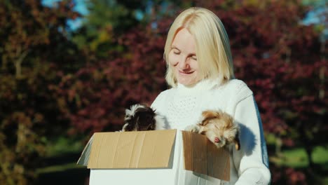 a woman holding a box of puppies in her hands