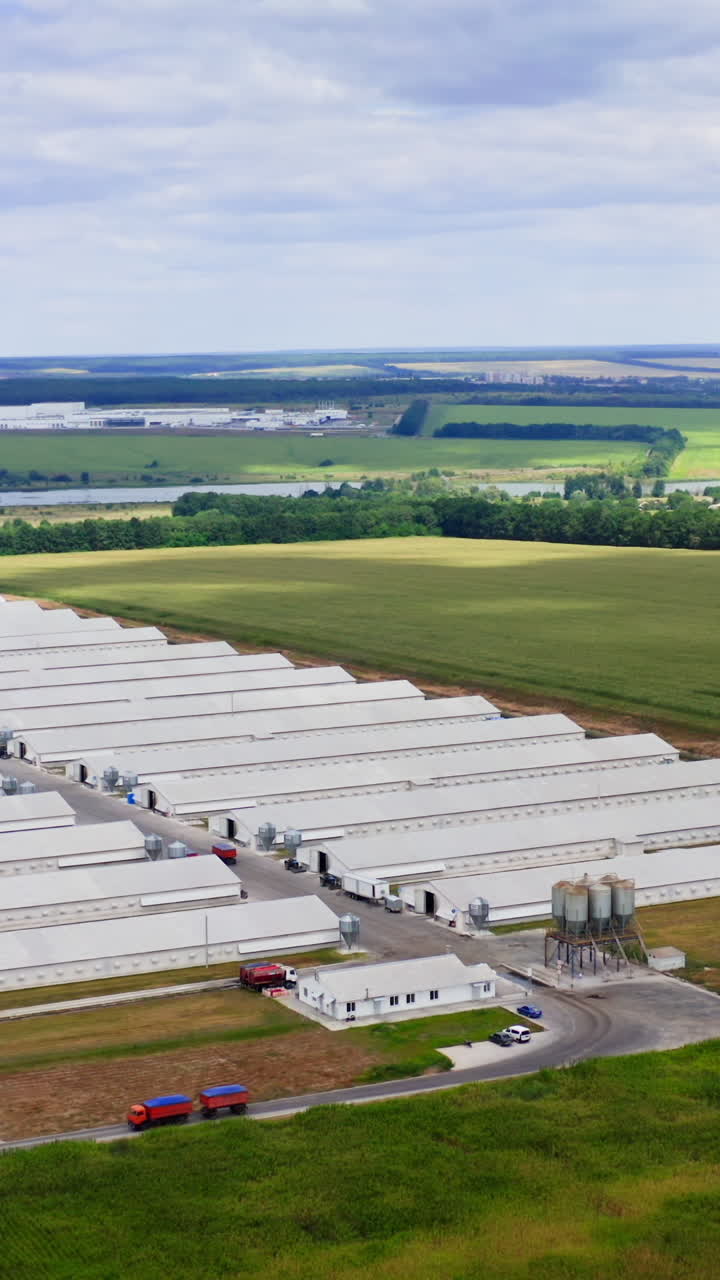 Modern farm in the countryside. White buildings of a farm among beautiful green nature. New poultry factory on a meadow. Aerial view. Vertical video