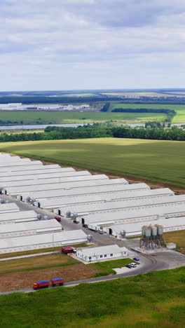 modern farm in the countryside. white buildings of a farm among beautiful green nature. new poultry factory on a meadow. aerial view. vertical video