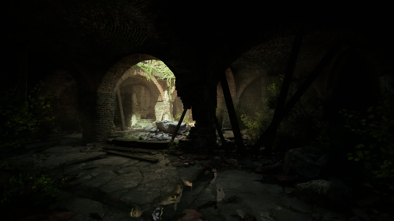 Abandoned space overgrown with plants in dim light revealing history