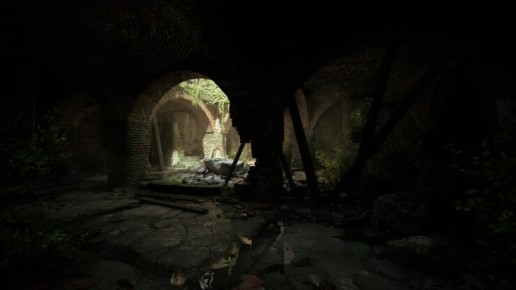 Espaço abandonado tomado por plantas sob luz fraca, revelando a história