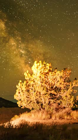 sunset to nighttime milky way vertical time lapse with a utah juniper cedar in the foreground - sliding to follow the core