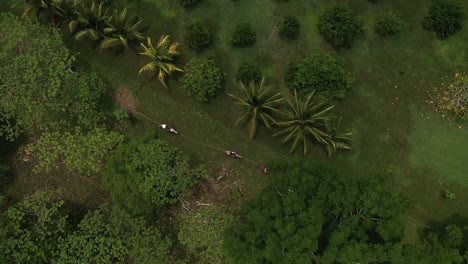 Horseback-Riding-In-Tropical-Jungle-Aerial-Shot-4K