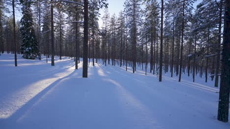 Winter-in-Lapland-Finland:-snow-covered-forest,-peaceful-winter-wonderland