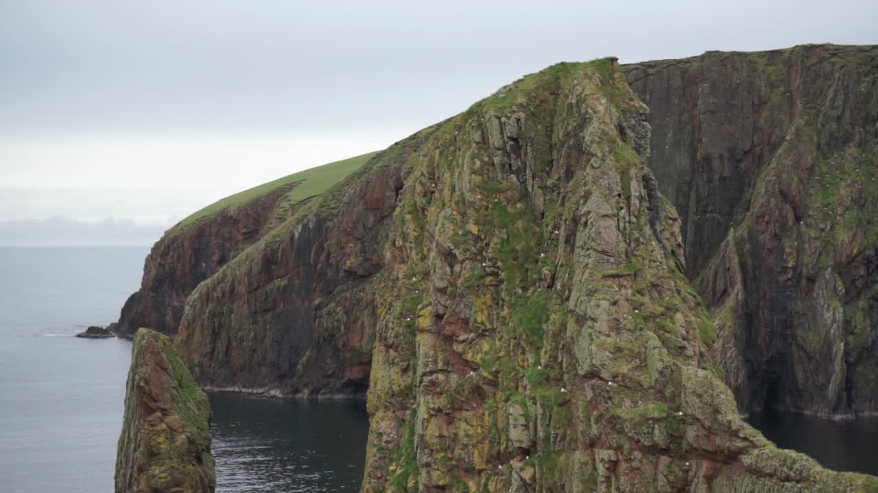 aves marinas que anidan en la pila de mar en las tierras altas escocesas