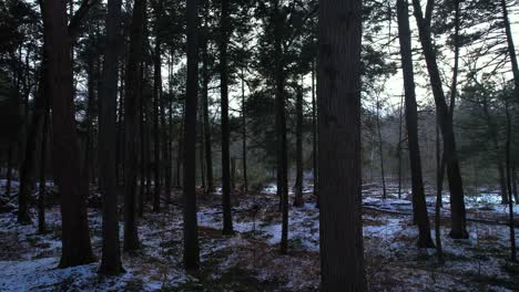 Imágenes-De-Video-De-Drones-Suaves-Que-Se-Elevan-A-Través-De-Un-Hermoso-Bosque-De-Pinos-Nevados-En-Invierno