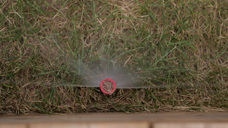 underground pop up sprinkler spraying water on lawn