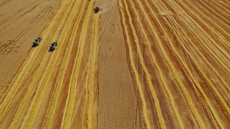 Aerial View of Wheat Harvest