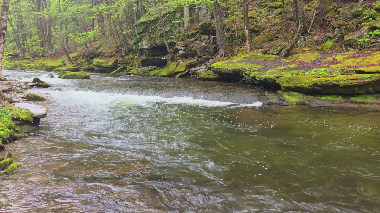 Stunning mossy stream in the Catskill mountains, on a magical foggy, atmospheric day, during late winter