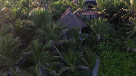 Cabin-surrounded-by-palm-trees-in-the-beaches-of-Tulum,-Mexico